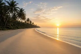 Sunrise over a quiet palm-lined beach