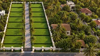 All sixteen Solitaire villa plots and the palm-lined avenue in daylight