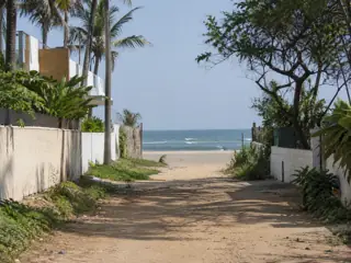The approach to the beach between palms and neighbouring homes
