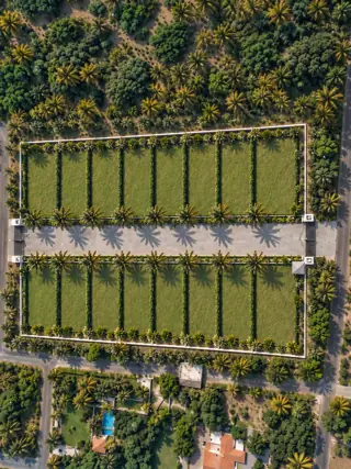 Solitaire plots around a horizontal central avenue